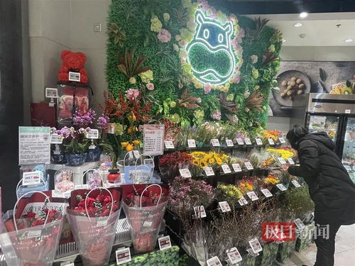 鮮花消費(fèi)日?；厔?shì)明顯，武漢時(shí)令春花綻放新商機(jī)