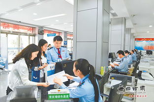 天水市國家稅務局多措并舉積極應對辦稅高峰，優化服務助力企業發展